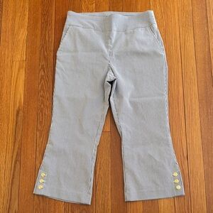 Counterparts Blue and White Striped Capri Pants with Gold Buttons